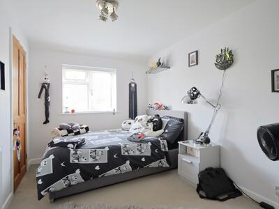 Picture 12